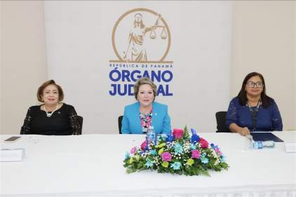 Video Organo Judicial