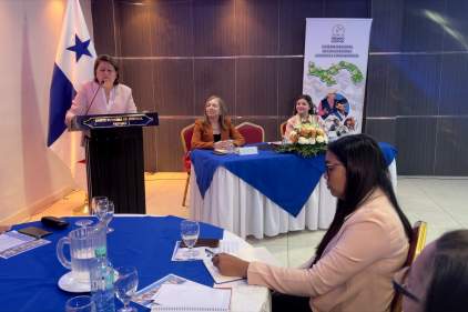 Video Organo Judicial