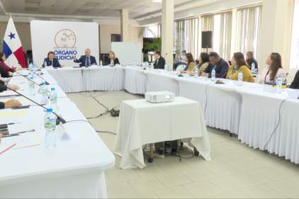 Video Organo Judicial