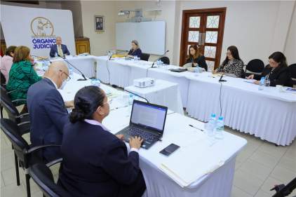 Video Organo Judicial