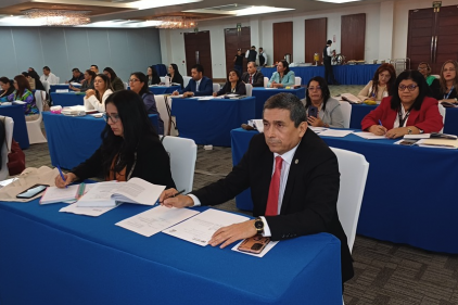 Video Organo Judicial