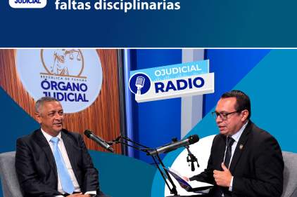 La mayoría de las denuncias contra jueces no son admitidas porque responden a desacuerdos con decisiones judiciales