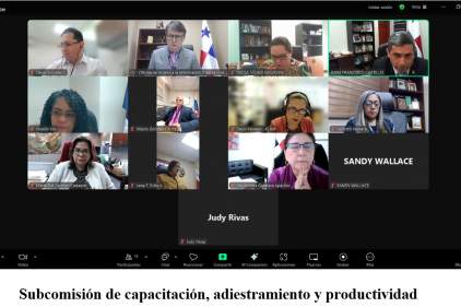 Subcomisiones del Órgano Judicial trabajan en garantizar la implementación exitosa del Código de Procedimiento Civil