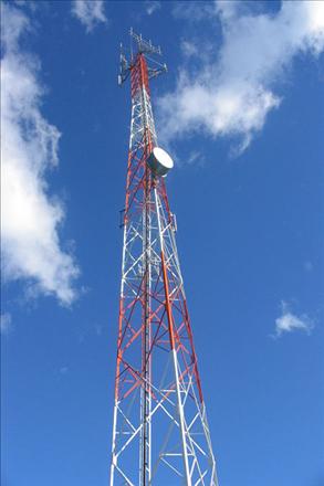 celulares1_293x440.jpg
