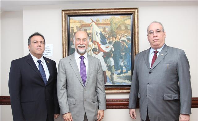 Organo Judicial